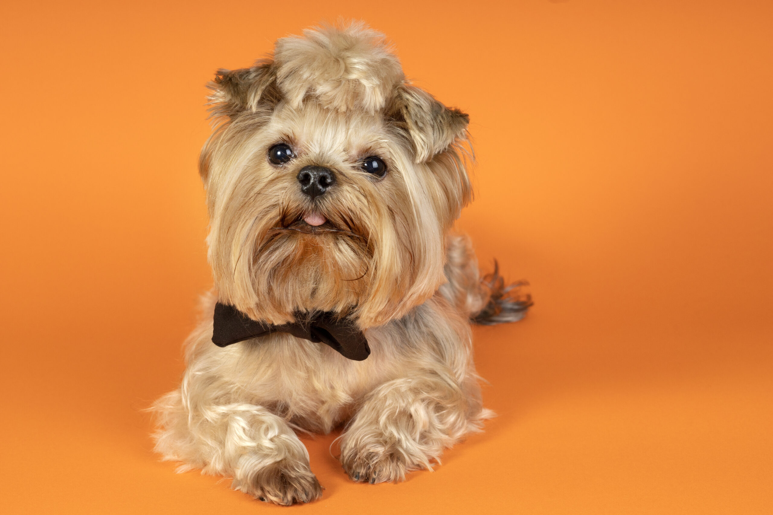 b7Ga4jC5G12h2m1DlPM6